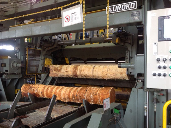 With over 40 years of experience, Endesa-Botrosa, a family owned company with two high tech mills, produces only the finest quality panels.
[themify_button style="small green" link="https://gfpstaging.walshgear.com/about-us/" target="" color="AFBD21" text="#000000"]More Details[/themify_button]